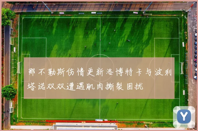 那不勒斯伤情更新洛博特卡与波利塔诺双双遭遇肌肉撕裂困扰
