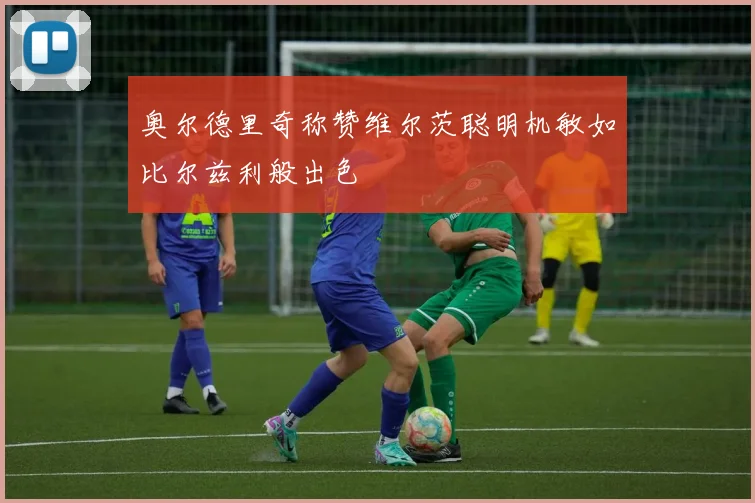 奥尔德里奇称赞维尔茨聪明机敏如比尔兹利般出色