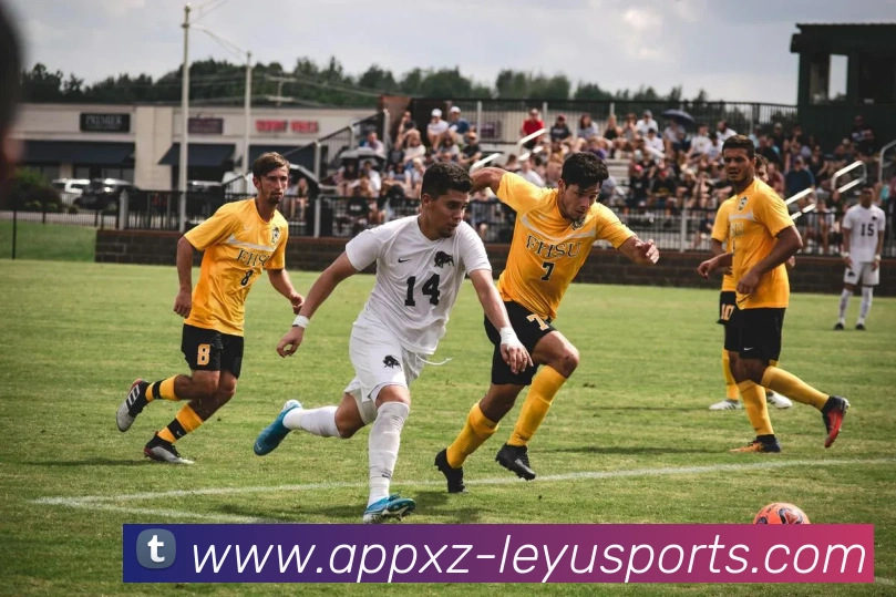 数据防护可视化